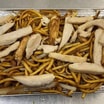 Chicken Chow Mein 鸡炒面